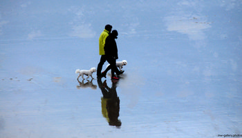 Beach walkers reflection This landscape photograph taken at Sennen Cove Beach in the United Kingdom captures two people walking along the shoreline with two dogs during a late autumn afternoon. The primary focus of the image is the clear reflection of the beach walkers and their dogs on the damp sand. The reflection effect is created by the wet surface of the beach, which mirrors the figures and enhances the visual appeal of the scene. The subdued light, typical of an autumn day in the late afternoon, gently illuminates the people and their dogs, emphasizing their presence against the tranquil background of Sennen Cove.